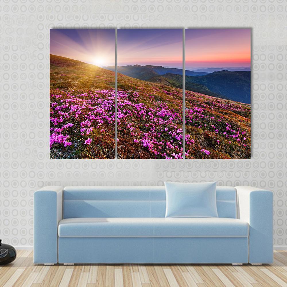 Pink Flowers On Mountain Canvas Wall Art-3 Horizontal-Gallery Wrap-37" x 24"-Tiaracle