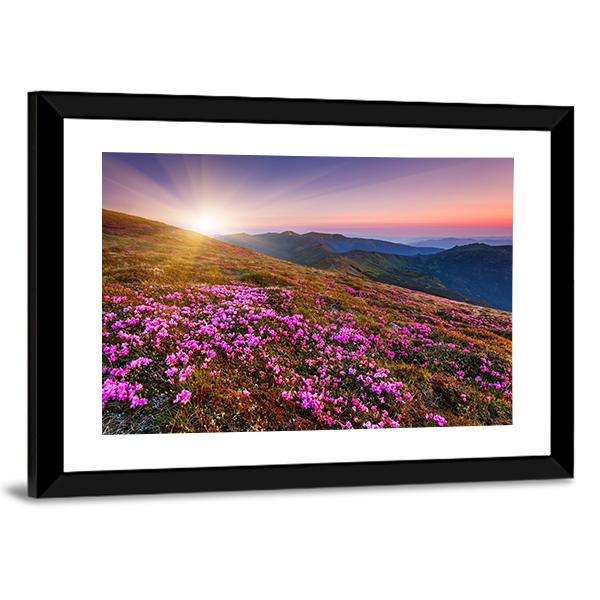 Pink Flowers On Mountain Panoramic Canvas Wall Art-1 Piece-36" x 12"-Tiaracle
