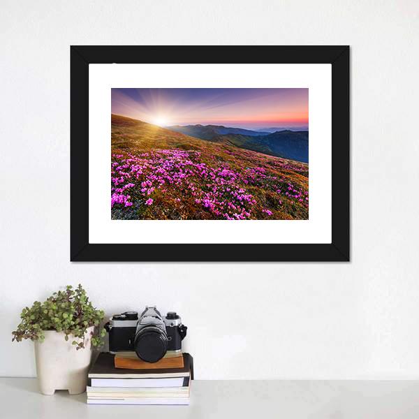 Pink Flowers On Mountain Panoramic Canvas Wall Art-1 Piece-36" x 12"-Tiaracle