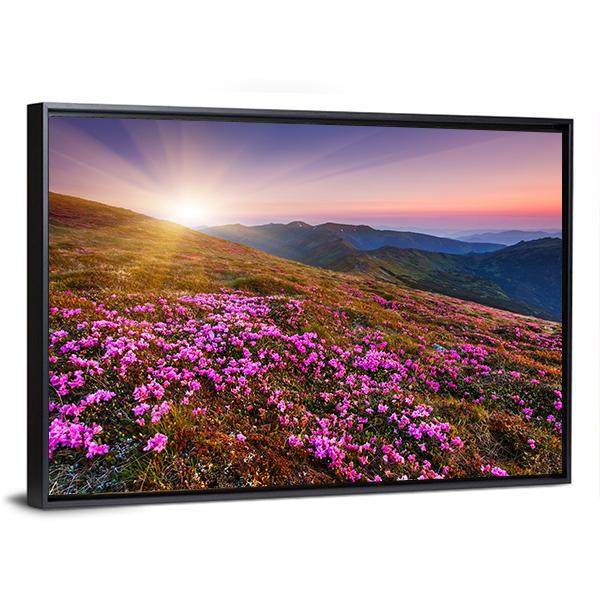 Pink Flowers On Mountain Panoramic Canvas Wall Art-1 Piece-36" x 12"-Tiaracle