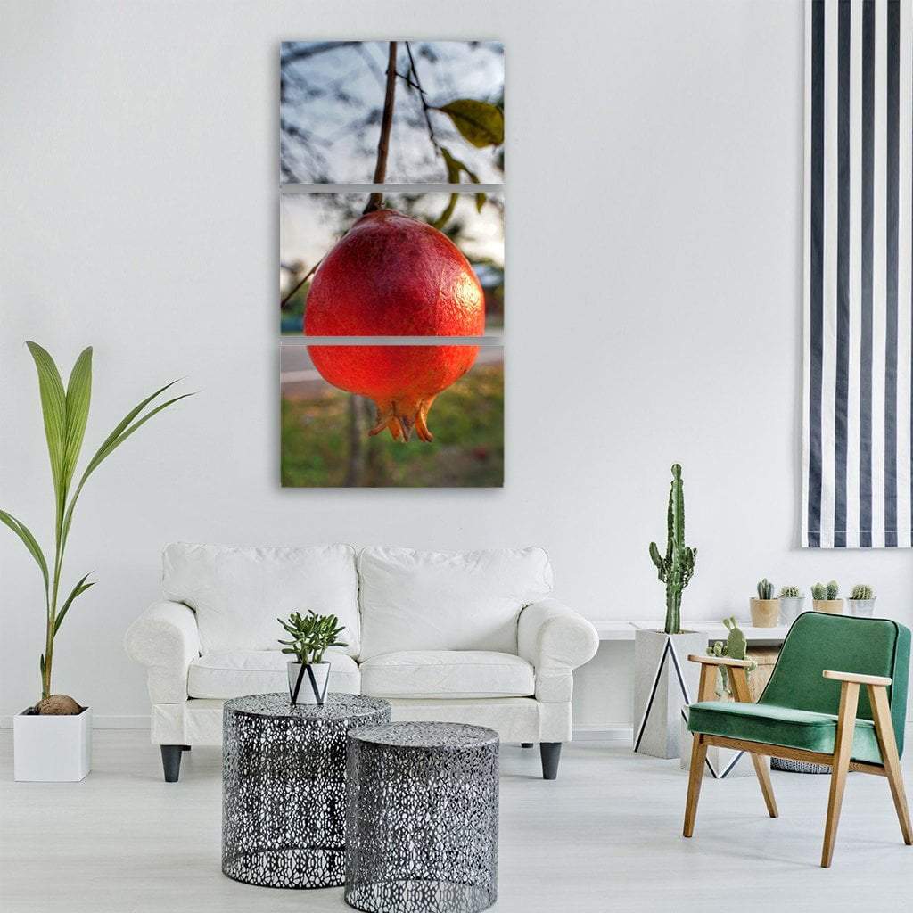 Pomegranate Hanging Vertical Canvas Wall Art-3 Vertical-Gallery Wrap-12" x 25"-Tiaracle