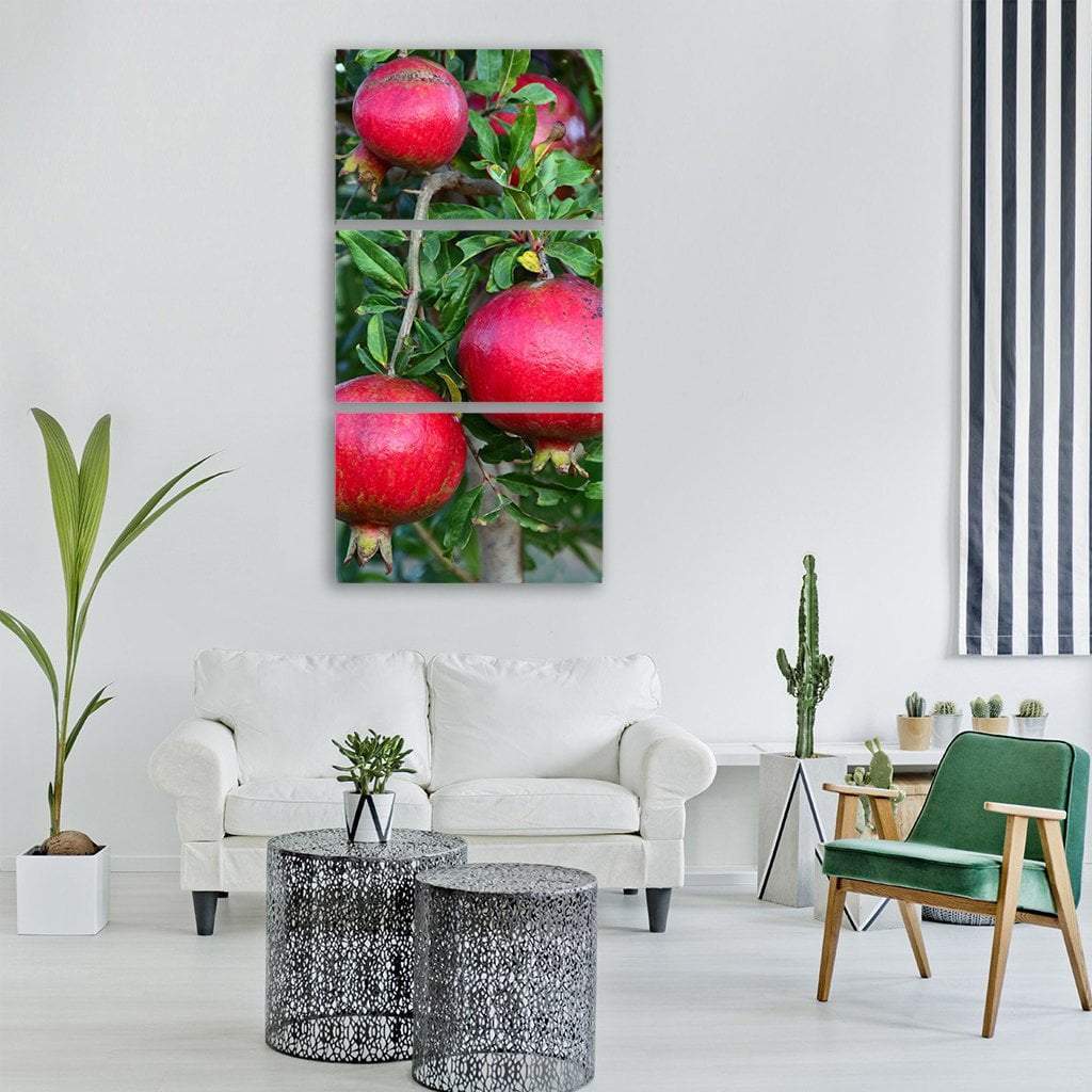 Pomegranate Tree Fruits Vertical Canvas Wall Art-3 Vertical-Gallery Wrap-12" x 25"-Tiaracle