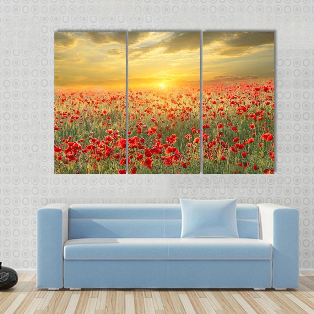 Poppy Filed At Sunset Canvas Wall Art-3 Horizontal-Gallery Wrap-37" x 24"-Tiaracle