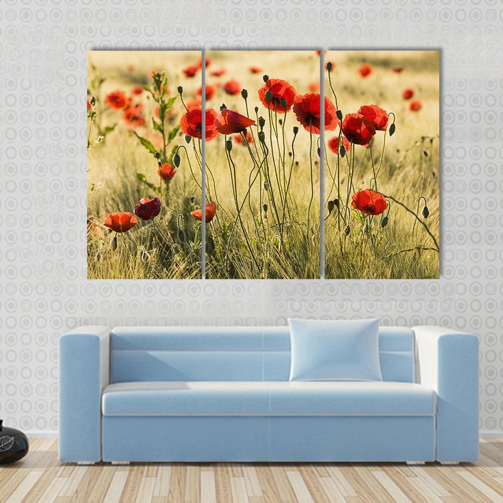 Poppy Flower Field Canvas Wall Art-3 Horizontal-Gallery Wrap-37&quot; x 24&quot;-Tiaracle