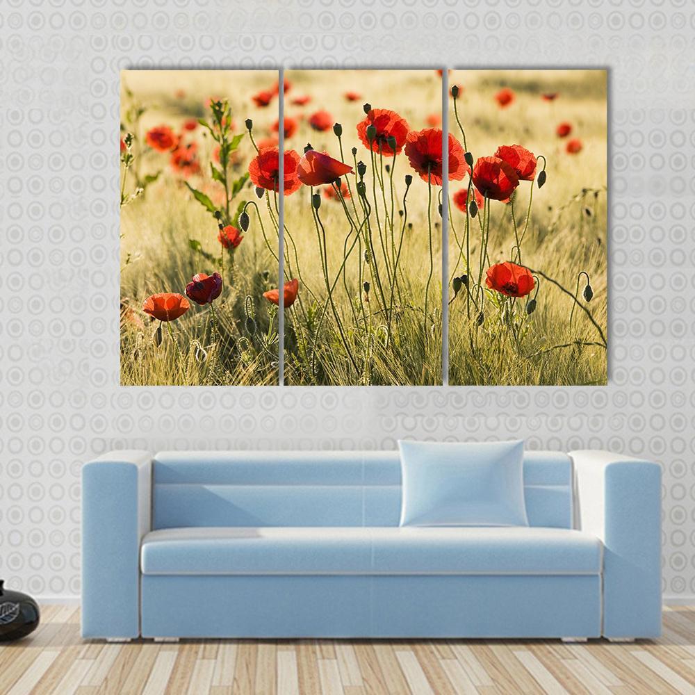 Poppy Flower Field Canvas Wall Art-3 Horizontal-Gallery Wrap-37" x 24"-Tiaracle