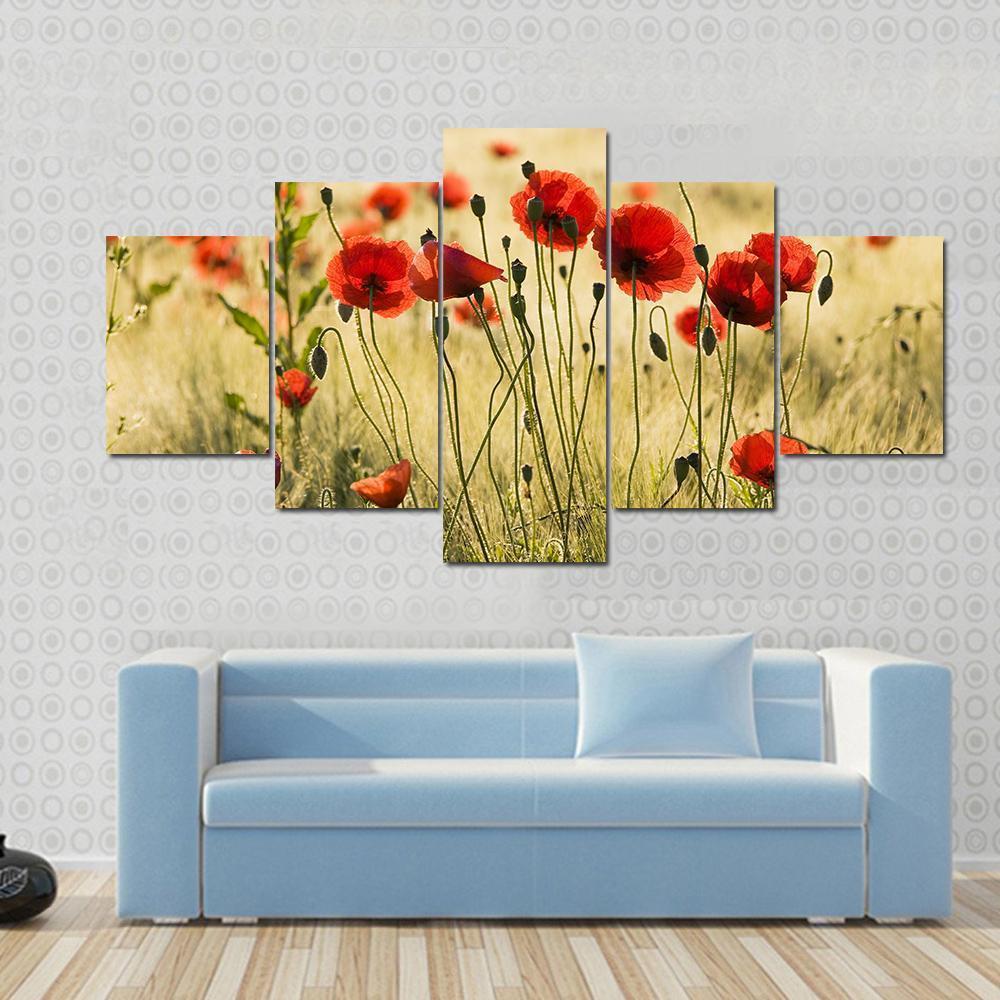 Poppy Flower Field Canvas Wall Art-3 Horizontal-Gallery Wrap-37" x 24"-Tiaracle