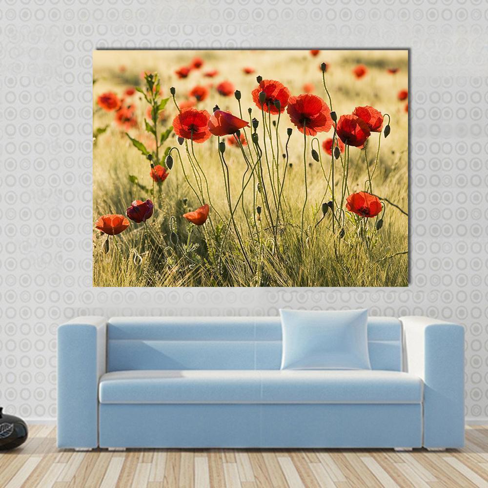 Red Poppy Field Canvas Wall Art in red, yellow and green, single panel hung on a wall