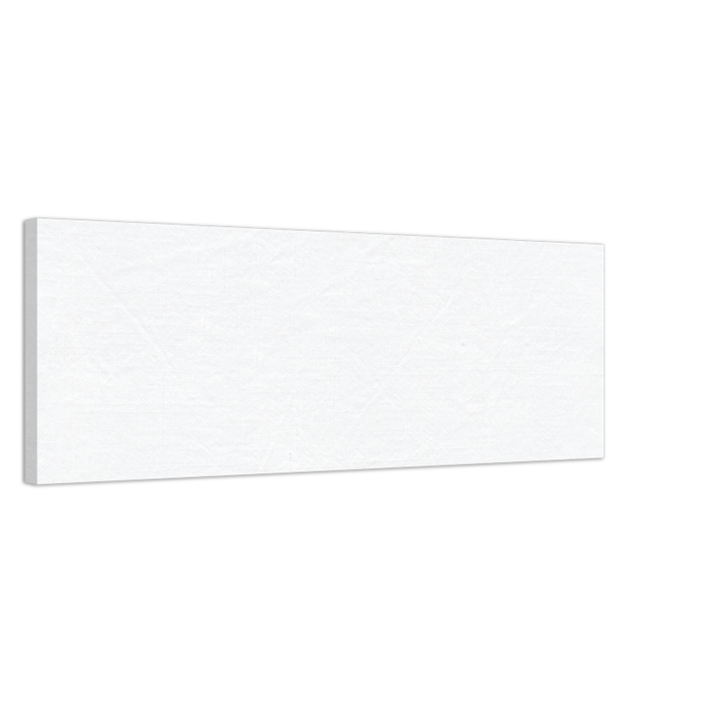 Mount Cook And Pukaki Lake Panoramic Canvas Wall Art