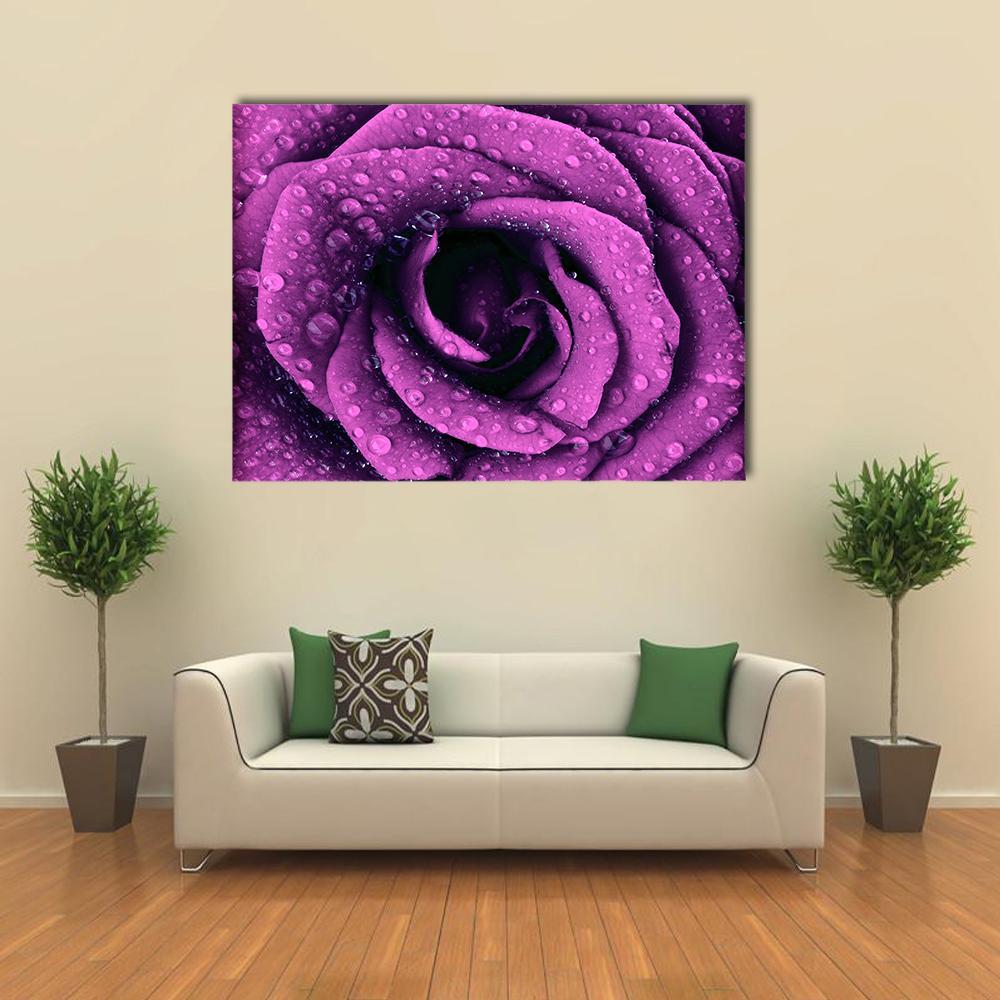 Purple Rose with Dew Drops Canvas Wall Art in black and purple, single panel hung on a wall