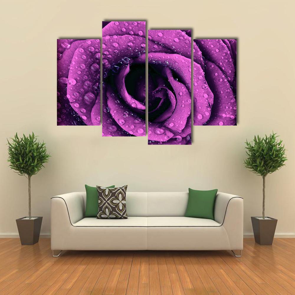 Purple Rose With Dew Drops Canvas Wall Art-4 Pop-Gallery Wrap-50" x 32"-Tiaracle