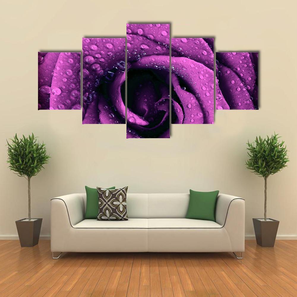Purple Rose With Dew Drops Canvas Wall Art-5 Star-Gallery Wrap-62" x 32"-Tiaracle