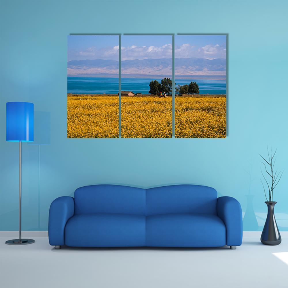 Qinghai Scenery Canvas Wall Art-3 Horizontal-Gallery Wrap-37" x 24"-Tiaracle