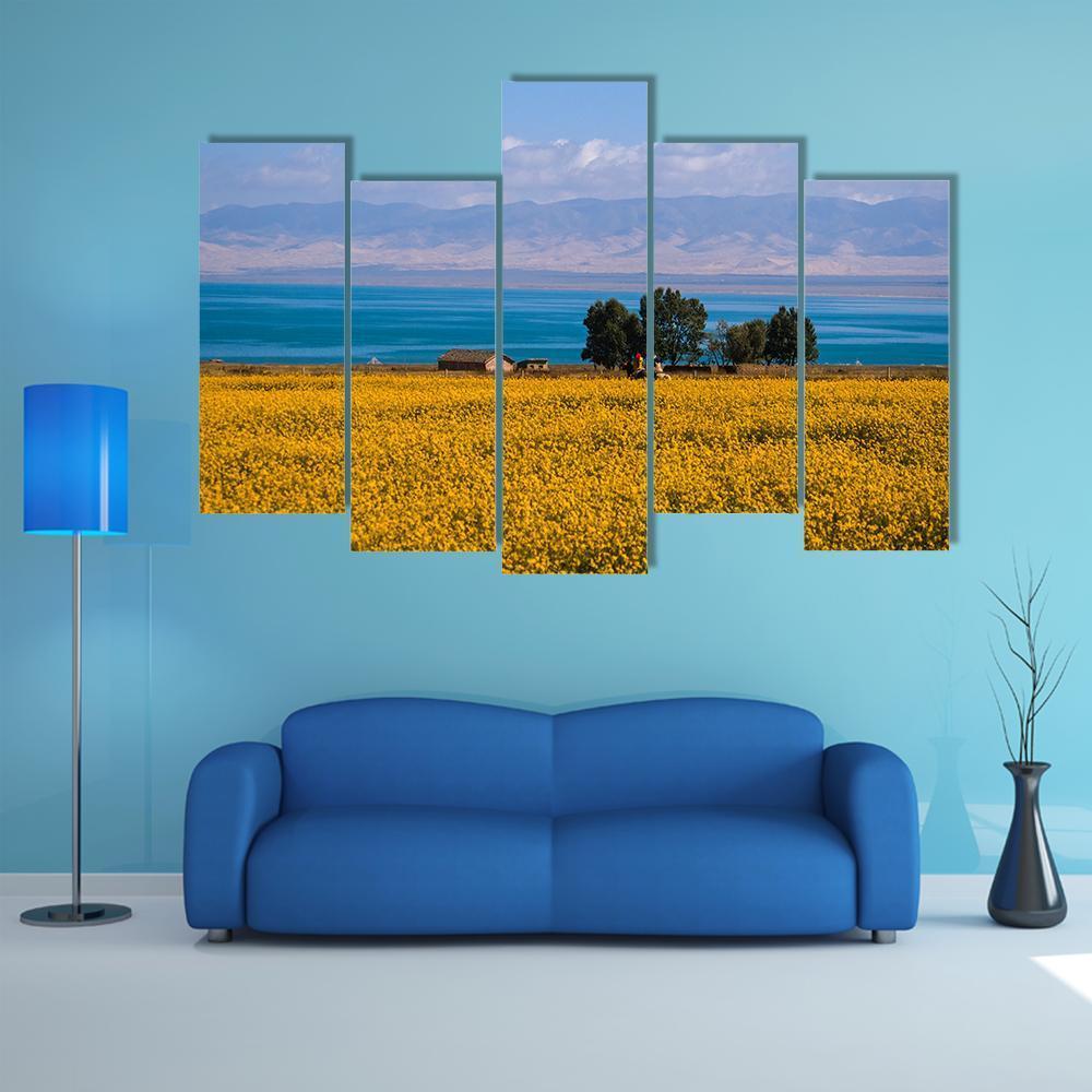 Qinghai Scenery Canvas Wall Art-5 Pop-Gallery Wrap-47" x 32"-Tiaracle