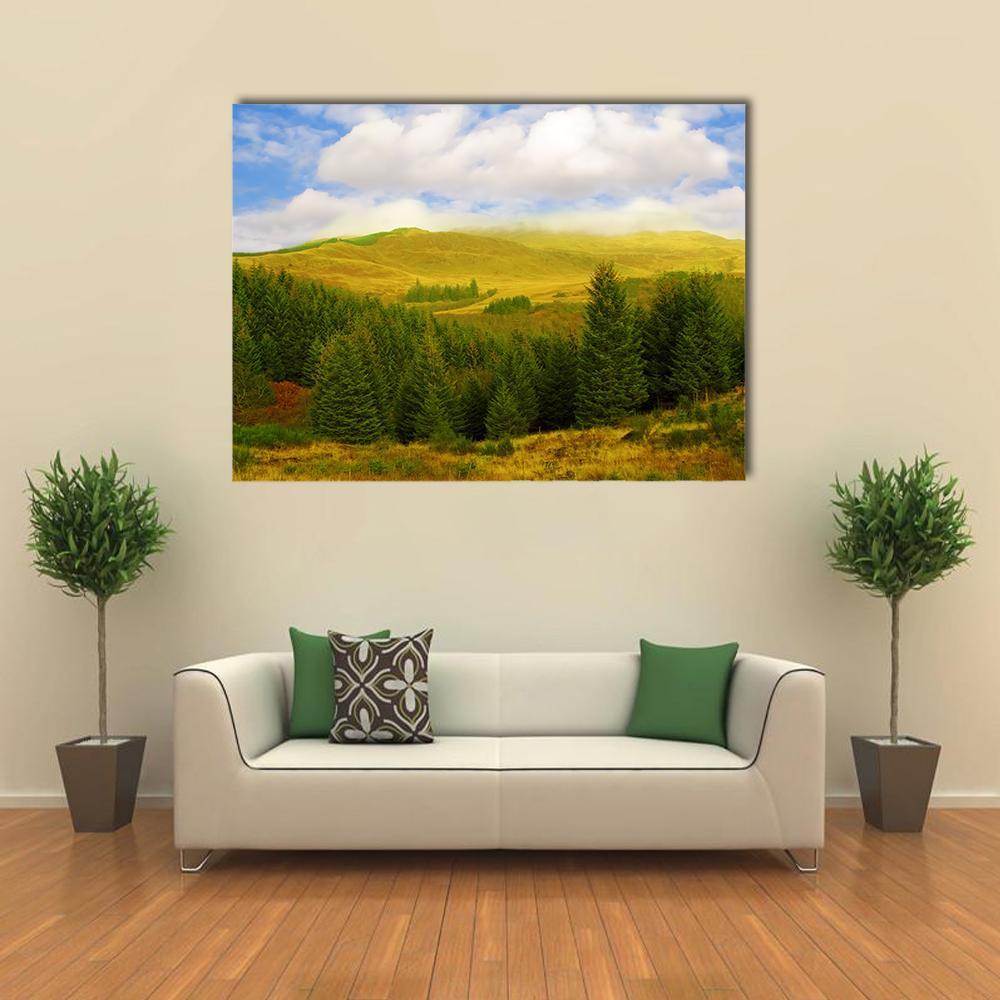 Queen Elizabeth Forest Park Landscape Canvas Wall Art in yellow, green and blue, single panel hung on a wall