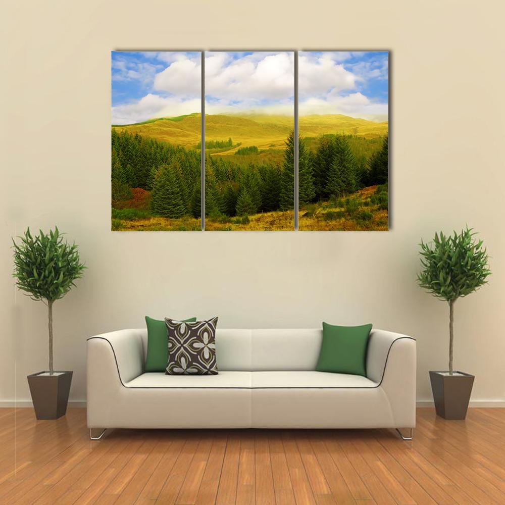 Queen Elizabeth Forest Park Canvas Wall Art-3 Horizontal-Gallery Wrap-37" x 24"-Tiaracle