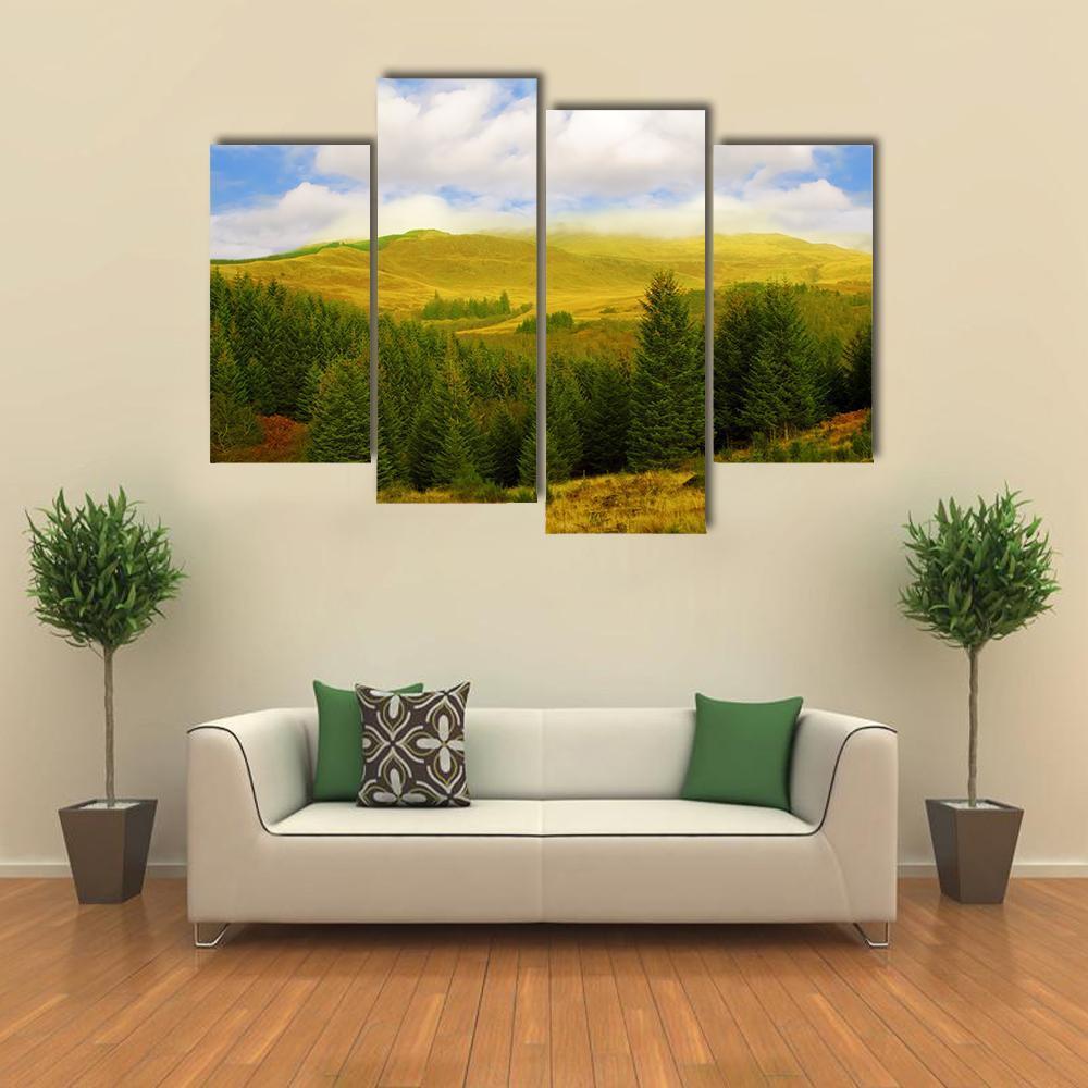 Queen Elizabeth Forest Park Canvas Wall Art-4 Pop-Gallery Wrap-50" x 32"-Tiaracle