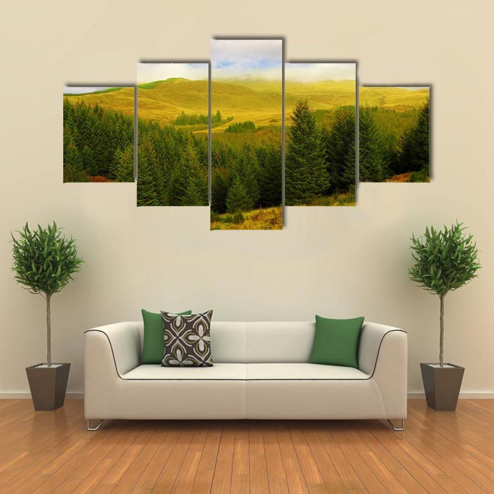 Queen Elizabeth Forest Park Canvas Wall Art-4 Pop-Gallery Wrap-50" x 32"-Tiaracle