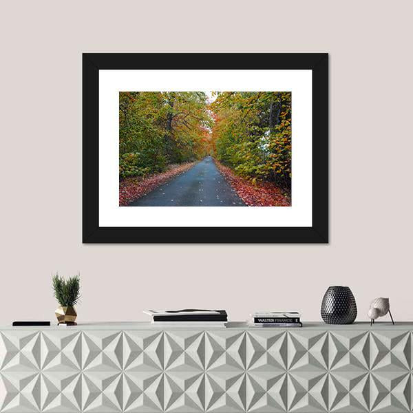 Quiet Leafy Country Lane Canvas Wall Art-1 Piece-Framed Print-20" x 16"-Tiaracle