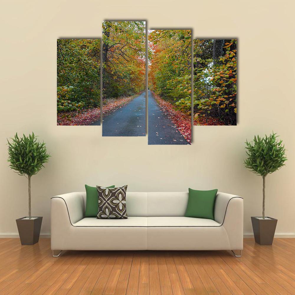 Quiet Leafy Country Lane Canvas Wall Art-4 Pop-Gallery Wrap-50" x 32"-Tiaracle