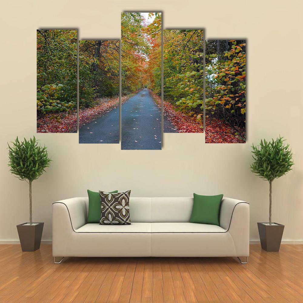 Quiet Leafy Country Lane Canvas Wall Art-5 Pop-Gallery Wrap-47" x 32"-Tiaracle