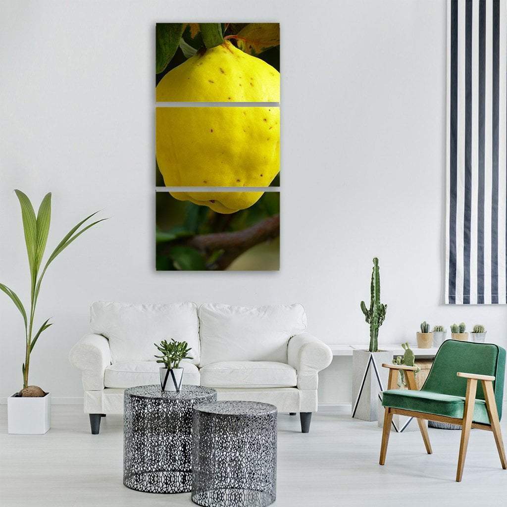 Quince Fruit Plant Vertical Canvas Wall Art-3 Vertical-Gallery Wrap-12" x 25"-Tiaracle