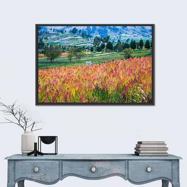 Quinoa Cultivated Fields Canvas Wall Art-1 Piece-Floating Frame-24" x 16"-Tiaracle