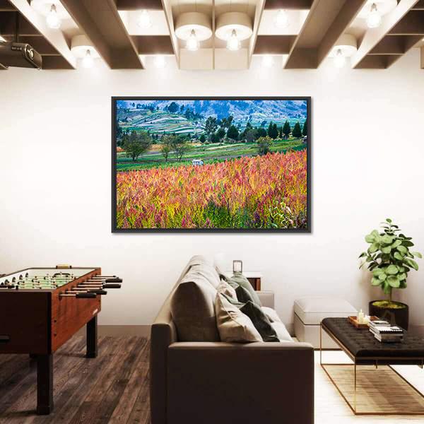 Quinoa Cultivated Fields Canvas Wall Art-3 Horizontal-Gallery Wrap-25" x 16"-Tiaracle