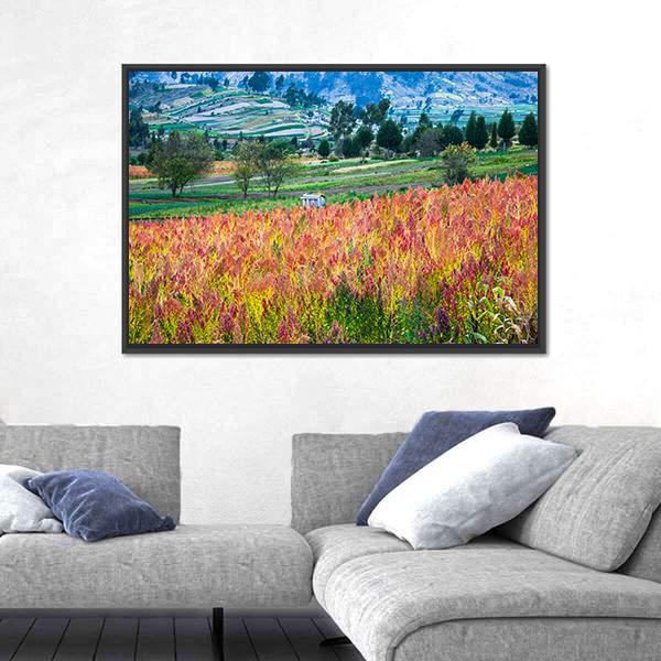 Quinoa Cultivated Fields Canvas Wall Art-3 Horizontal-Gallery Wrap-25" x 16"-Tiaracle