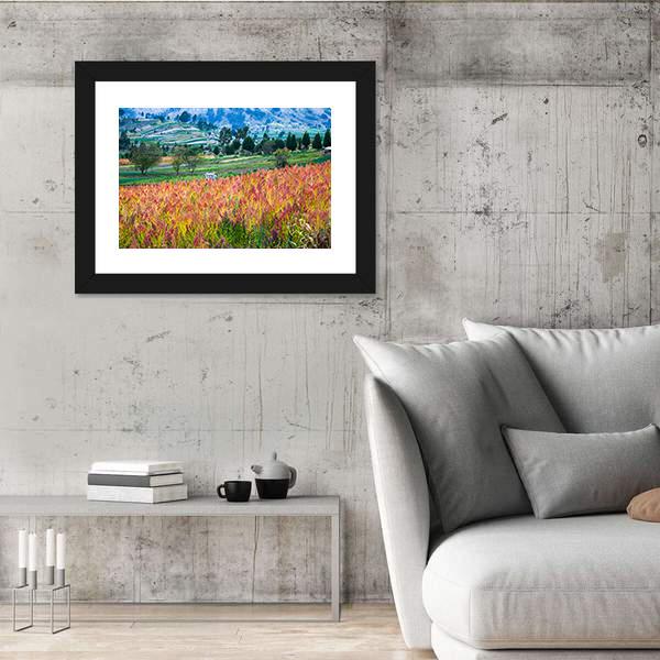 Quinoa Cultivated Fields Canvas Wall Art-3 Horizontal-Gallery Wrap-25" x 16"-Tiaracle