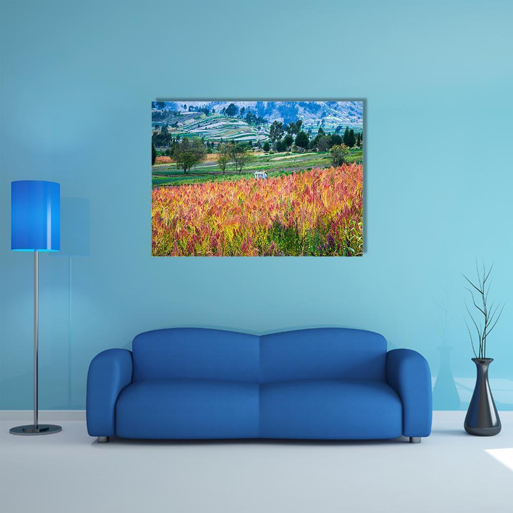 Quinoa Fields with White Structure Canvas Wall Art in red, yellow and green, single panel hung on a wall