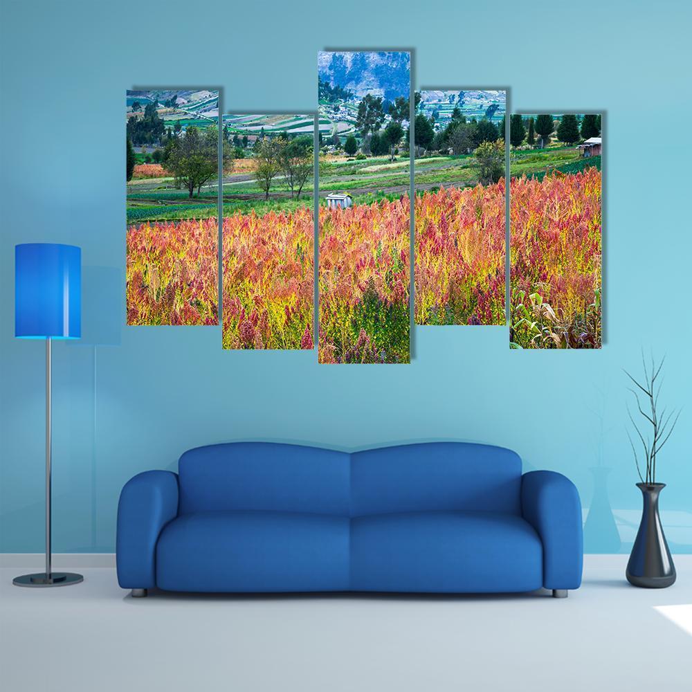 Quinoa Cultivated Fields Canvas Wall Art-5 Pop-Gallery Wrap-47" x 32"-Tiaracle