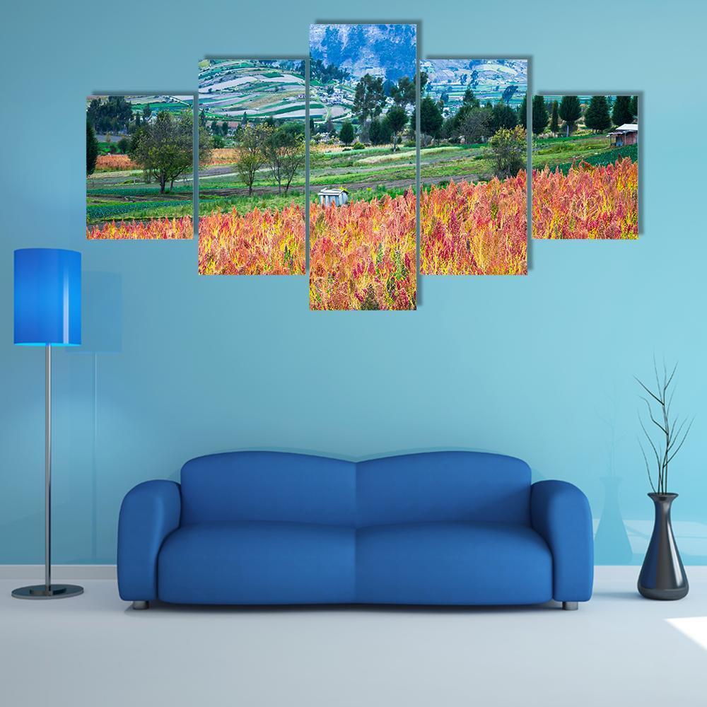 Quinoa Fields with White Structure Canvas Wall Art in red, yellow and green, 5 panel Star layout hung on a wall