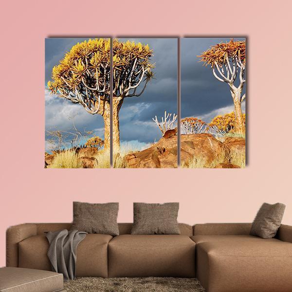 Quiver Tree Forest Landscape In South Africa Canvas Wall Art-3 Horizontal-Gallery Wrap-37&quot; x 24&quot;-Tiaracle
