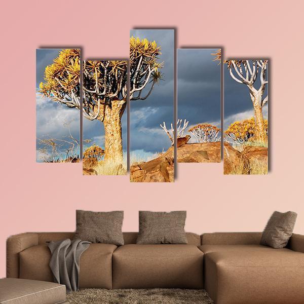 Quiver Tree Forest Landscape In South Africa Canvas Wall Art-5 Pop-Gallery Wrap-47" x 32"-Tiaracle