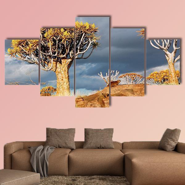 Quiver Tree Forest Landscape In South Africa Canvas Wall Art-5 Star-Gallery Wrap-62" x 32"-Tiaracle