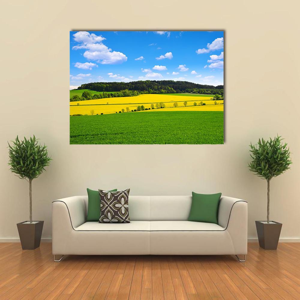 Rapeseed and Green Wheat Field Under Summer Sky Canvas Wall Art in yellow, green and blue, single panel hung on a wall