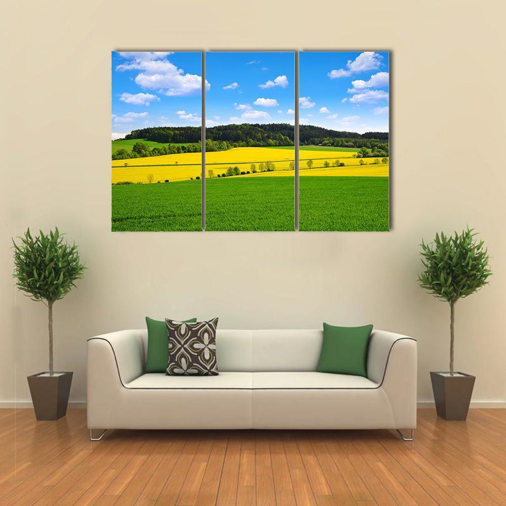 Rapeseed And Green Wheat Field Canvas Wall Art-3 Horizontal-Gallery Wrap-37" x 24"-Tiaracle