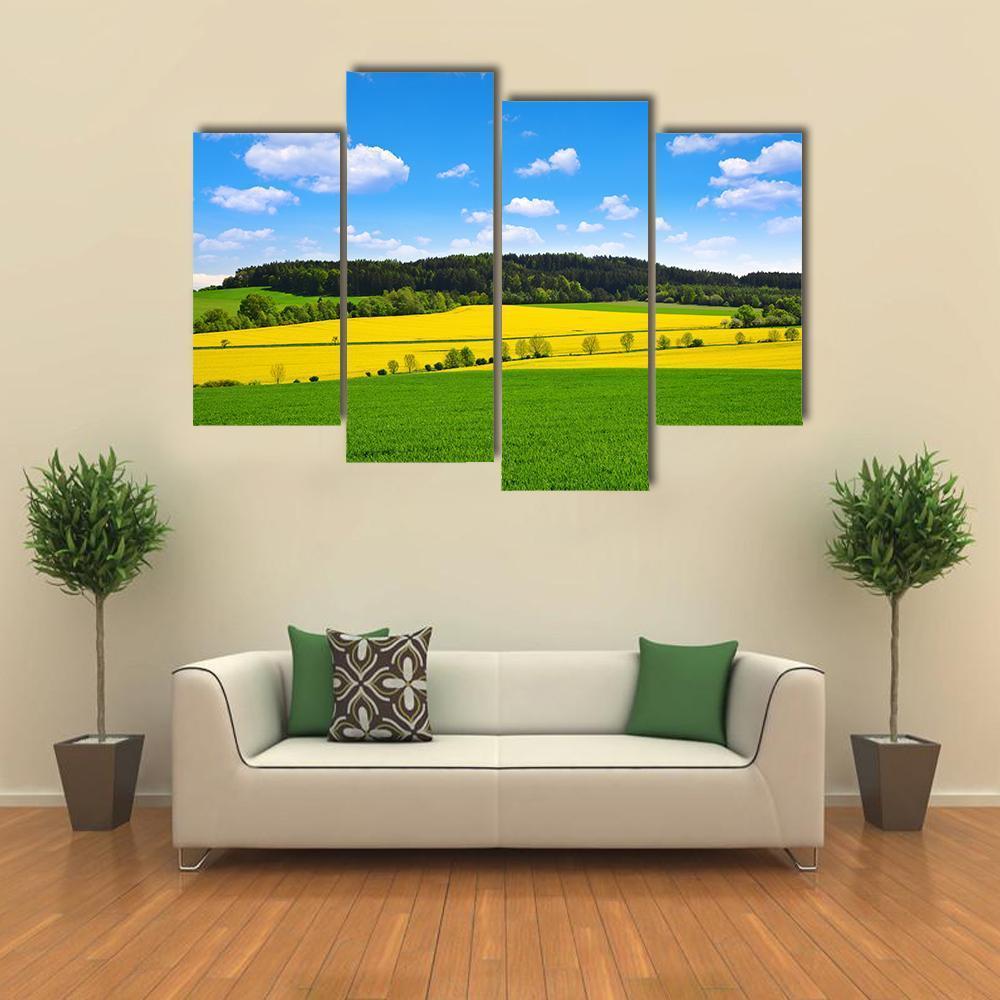 Rapeseed And Green Wheat Field Canvas Wall Art-4 Pop-Gallery Wrap-50" x 32"-Tiaracle