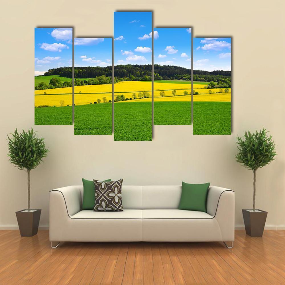 Rapeseed And Green Wheat Field Canvas Wall Art-5 Pop-Gallery Wrap-47" x 32"-Tiaracle
