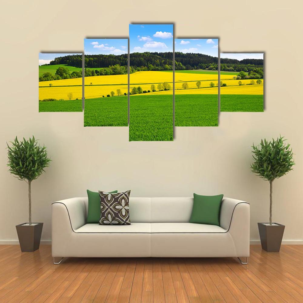 Rapeseed And Green Wheat Field Canvas Wall Art-5 Star-Gallery Wrap-62" x 32"-Tiaracle
