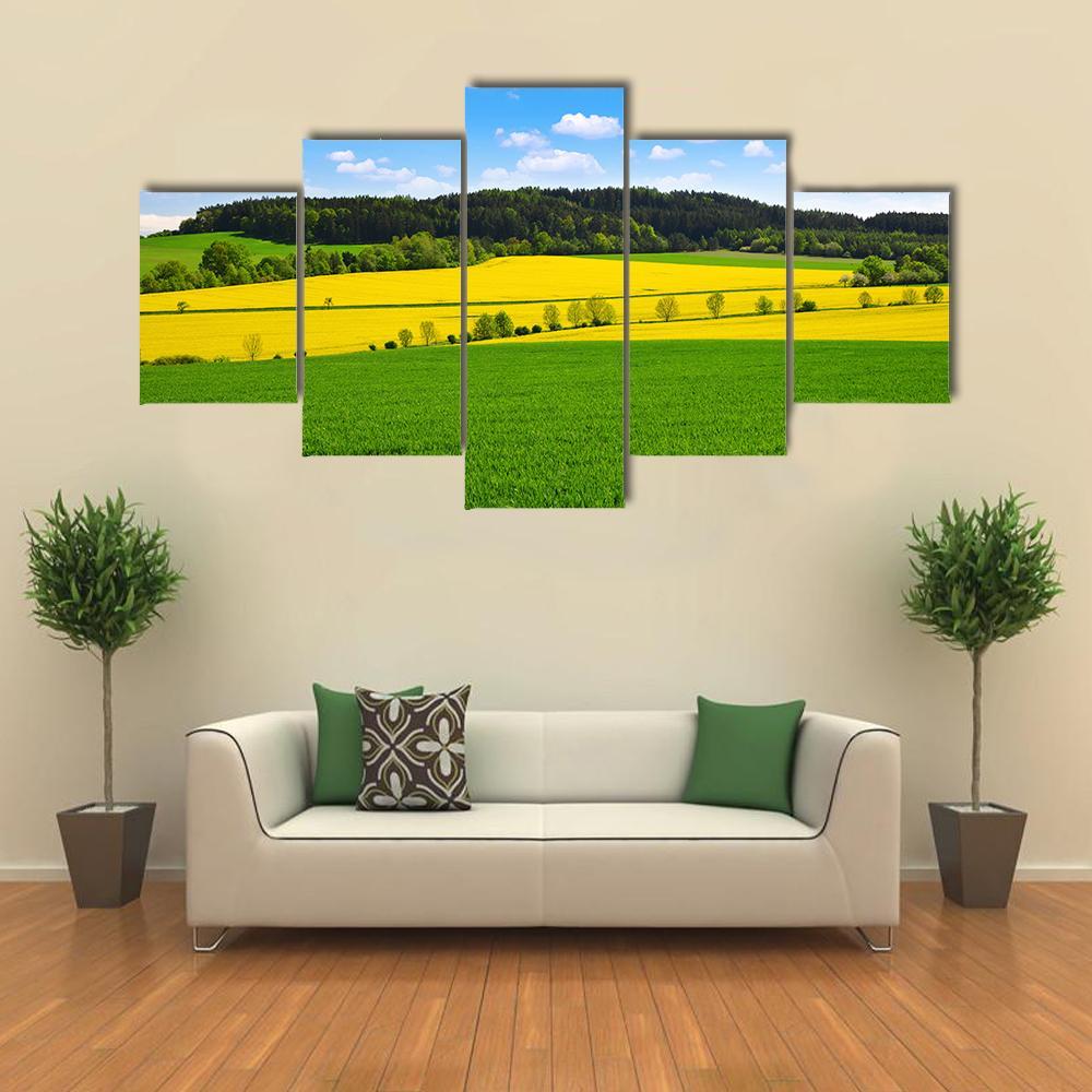 Rapeseed And Green Wheat Field Canvas Wall Art-5 Pop-Gallery Wrap-47" x 32"-Tiaracle