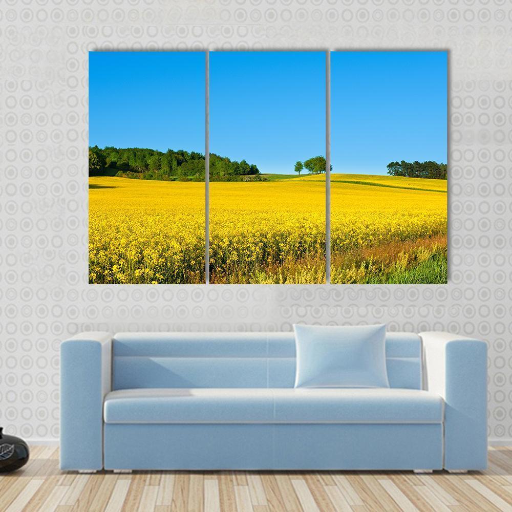 Rapeseed Field with Forest Canvas Wall Art-3 Horizontal-Gallery Wrap-37" x 24"-Tiaracle