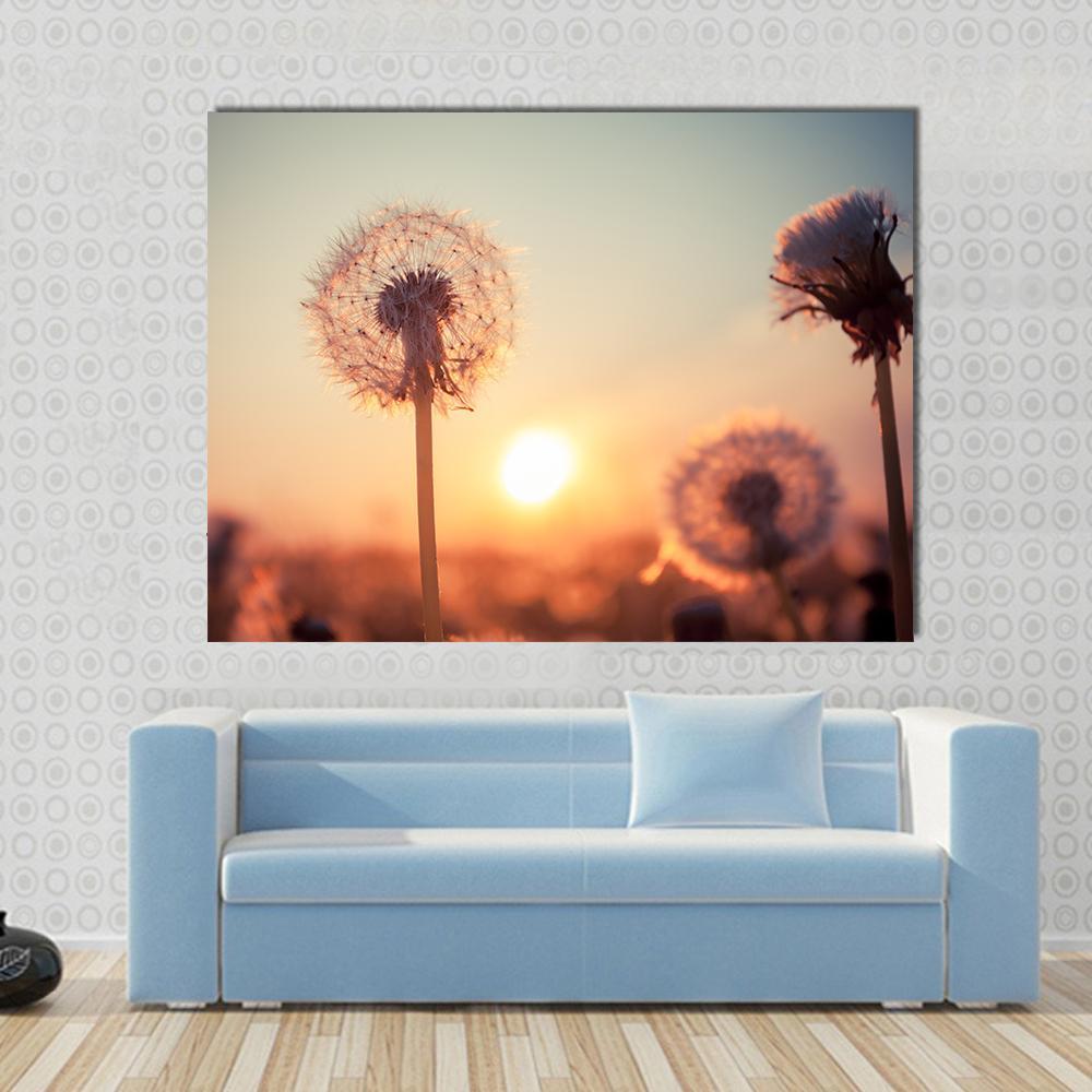 Dandelion Field at Summer Sunset Canvas Wall Art in brown, orange and yellow, single panel hung on a wall