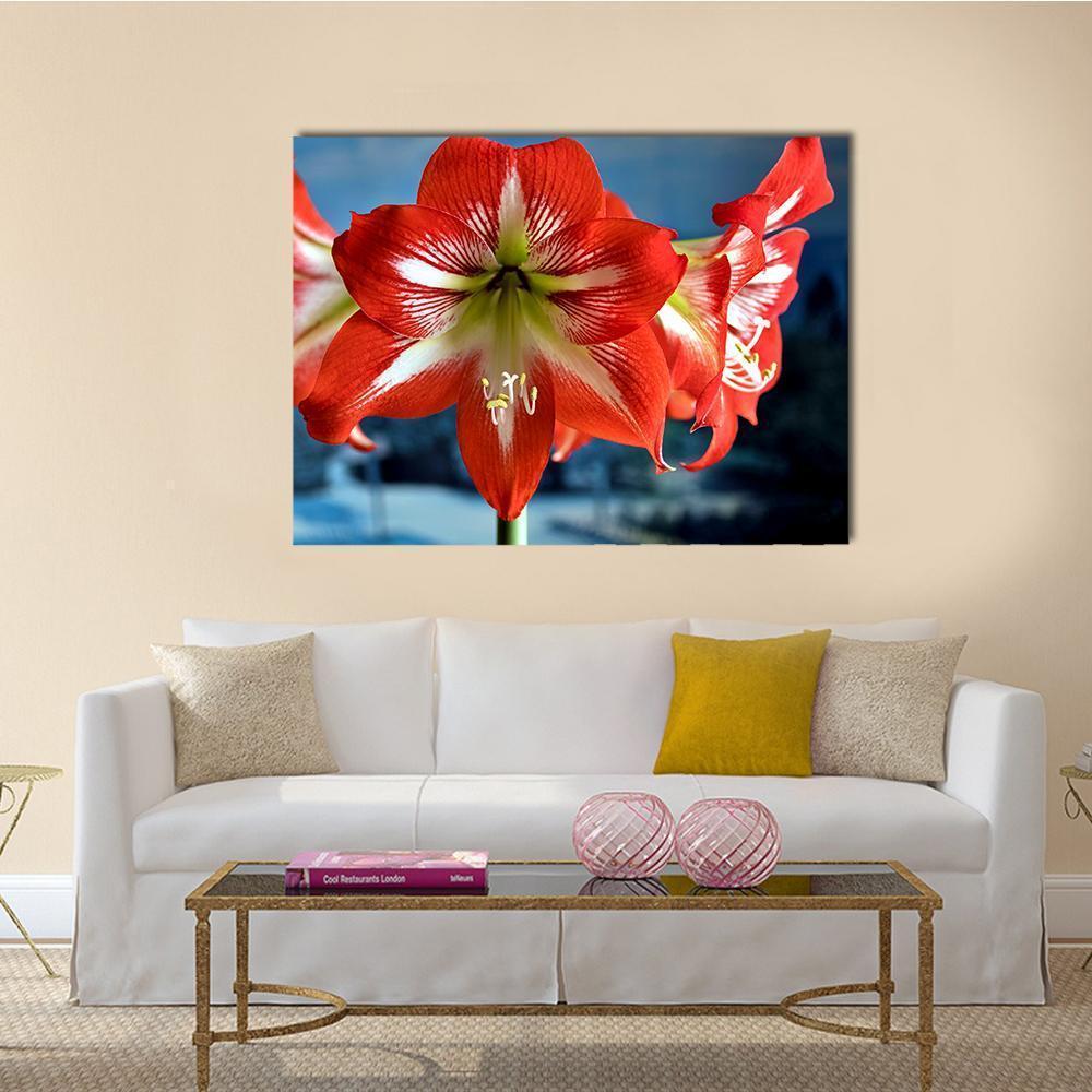 Red Amarillis Flower Canvas Wall Art-4 Horizontal-Gallery Wrap-34" x 24"-Tiaracle
