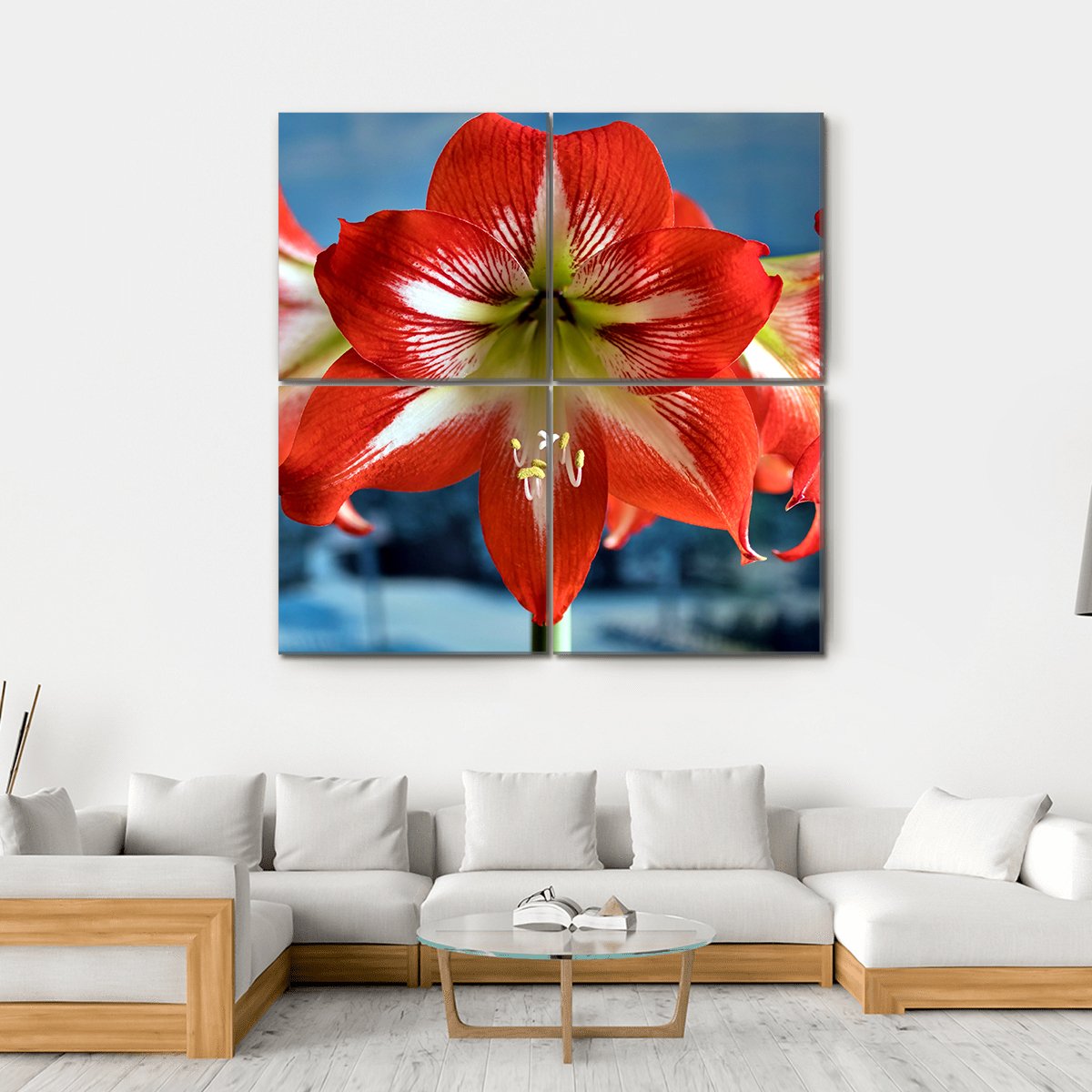 Red Amarillis Flower Canvas Wall Art-4 Square-Gallery Wrap-17" x 17"-Tiaracle