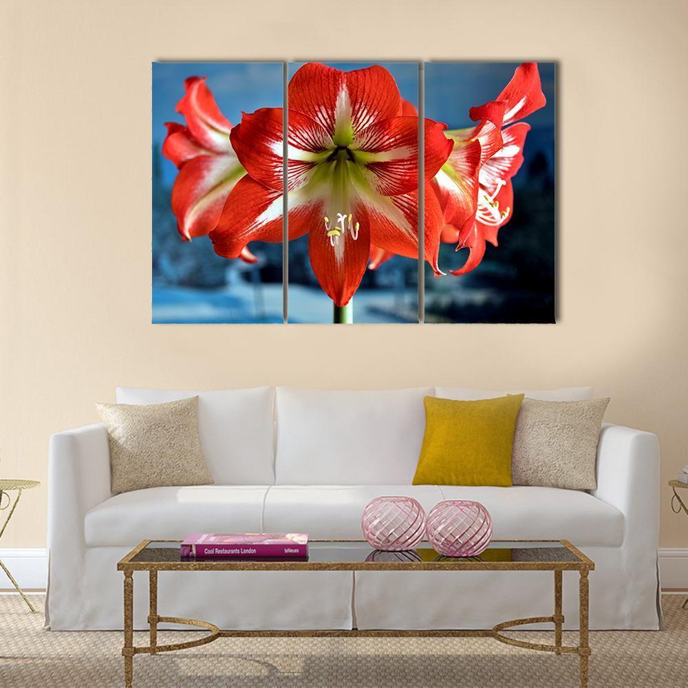 Red Amarillis Flower Canvas Wall Art-5 Star-Gallery Wrap-62" x 32"-Tiaracle