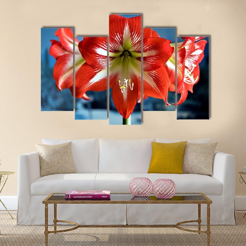 Red Amarillis Flower Canvas Wall Art-5 Pop-Gallery Wrap-47" x 32"-Tiaracle