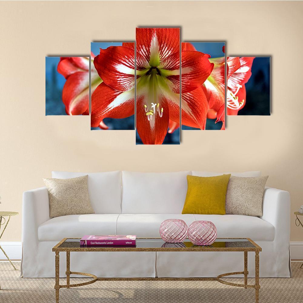 Red Amarillis Flower Canvas Wall Art-5 Star-Gallery Wrap-62" x 32"-Tiaracle