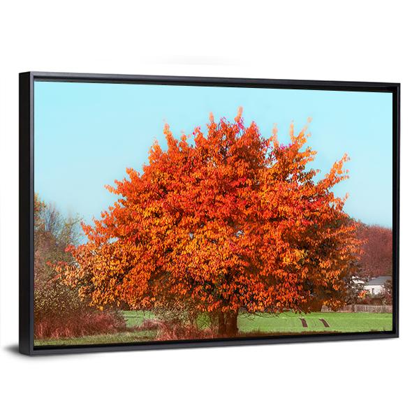 Red Autumn Foliage Canvas Wall Art-3 Horizontal-Gallery Wrap-25" x 16"-Tiaracle