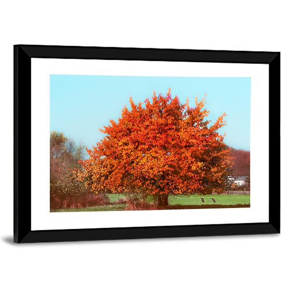 Red Autumn Foliage Canvas Wall Art-3 Horizontal-Gallery Wrap-25" x 16"-Tiaracle